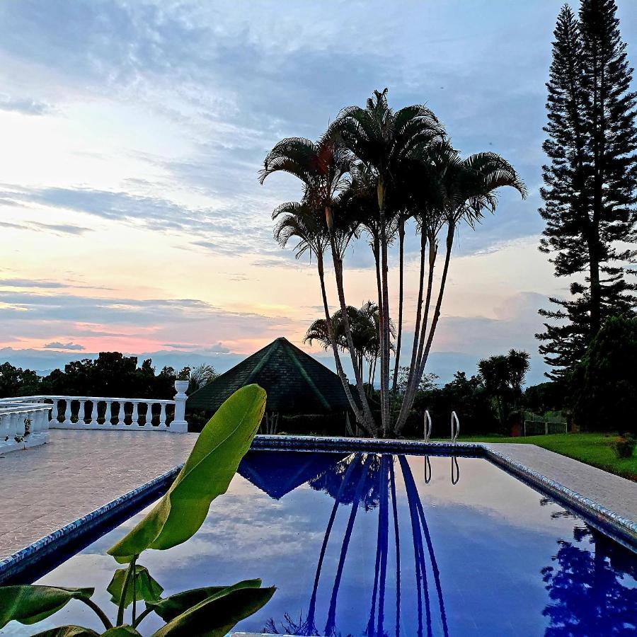Bellavista Pereira