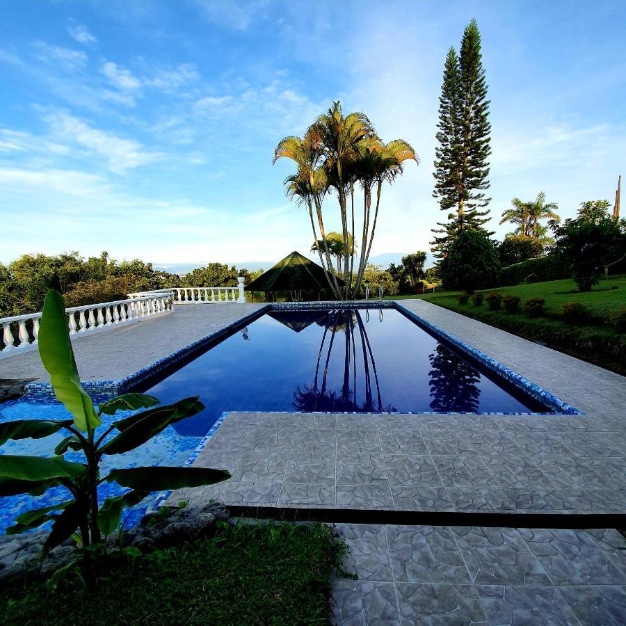 Bellavista * Pereira